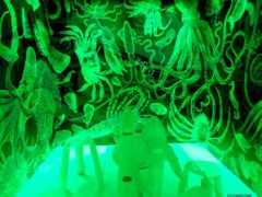 carnovsky.com Makisa