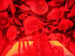 carnovsky.com Makisa