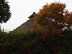 Makiyama