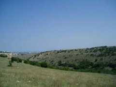 Maksimova