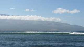 seedicksurf.com Malaea