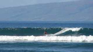 seedicksurf.com Malaea