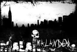 localbandnetwork.com Malander