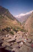 Malari