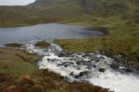 geograph.org.uk Maldie