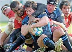 news.bbc.co.uk Maleli