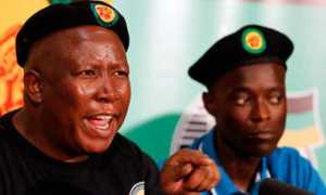 Malema