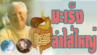 ku.ac.th Maleng