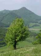 hiking.sk Malenica