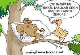 Malesef