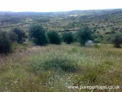 pureportugal.co.uk Malhou