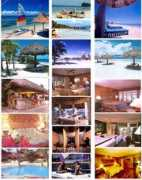 infinityqatar.com Malibago