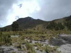 inaoep.mx Maliche
