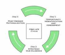 quantaconsulting.com Malife