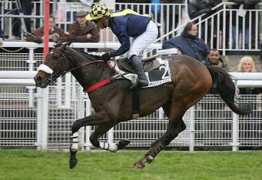 le-cheval-bleu.com Malikhan
