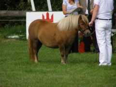 Malion