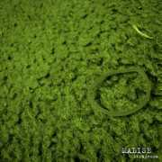 Malise