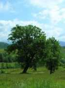 panoramio.com Malito