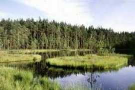 mazury.info.pl Mallka