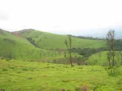 vikrantakarnataka.com Malnad