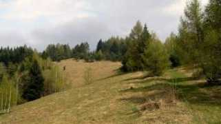 marekowczarz.pl Malnika