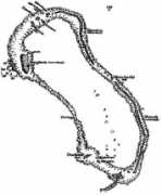 Malofou