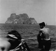hamgallery.com Malpelo