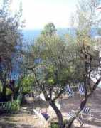 summerinitaly.com Malvarosa