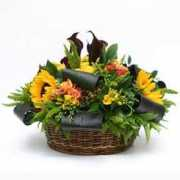 flowers24hours.co.uk Malvina