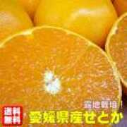 rakuten.co.jp Mamaed