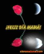 chromaluna.com Mamarose