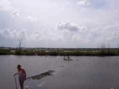 courtneyegan.net Mamasue