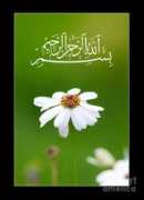 Mamat