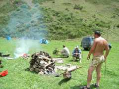 cwrtycadno.com Mambet
