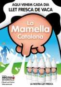 directe.cat Mamella