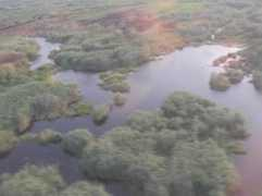 rauschenbach.de Mamili