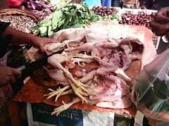 trekearth.com Mampang