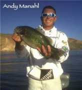 lobinalures.com Manahl