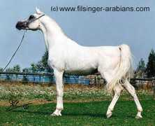 Manal