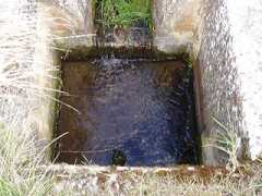 Manantiales