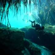 mexidivers.com Manati