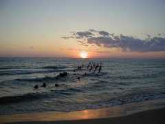 empirerentals.com Manatou