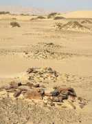 westerndesert.geolab.cz Manavar
