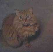 thommalyngrindstaff.com Mancat