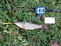 fishyforum.com Mancing