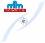 cybereurope.it Mandarini
