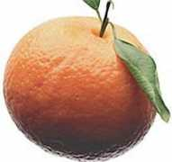 leciva-kosmetika.cz Mandarinka