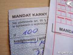 scigacz.pl Mandat