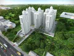 daijiworld.com Mandavi