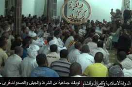 live.aljazeera.com Mandhai